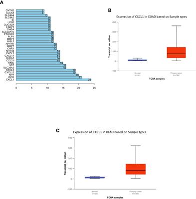 CXCL1 Regulated by miR-302e Is Involved in Cell Viability and Motility of Colorectal Cancer via Inhibiting JAK-STAT Signaling Pathway